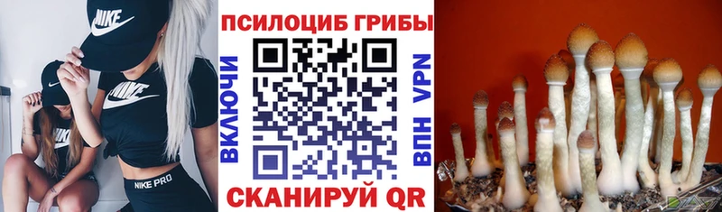 Галлюциногенные грибы Cubensis Радужный